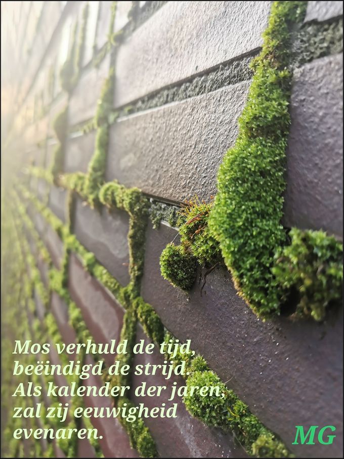 Moss