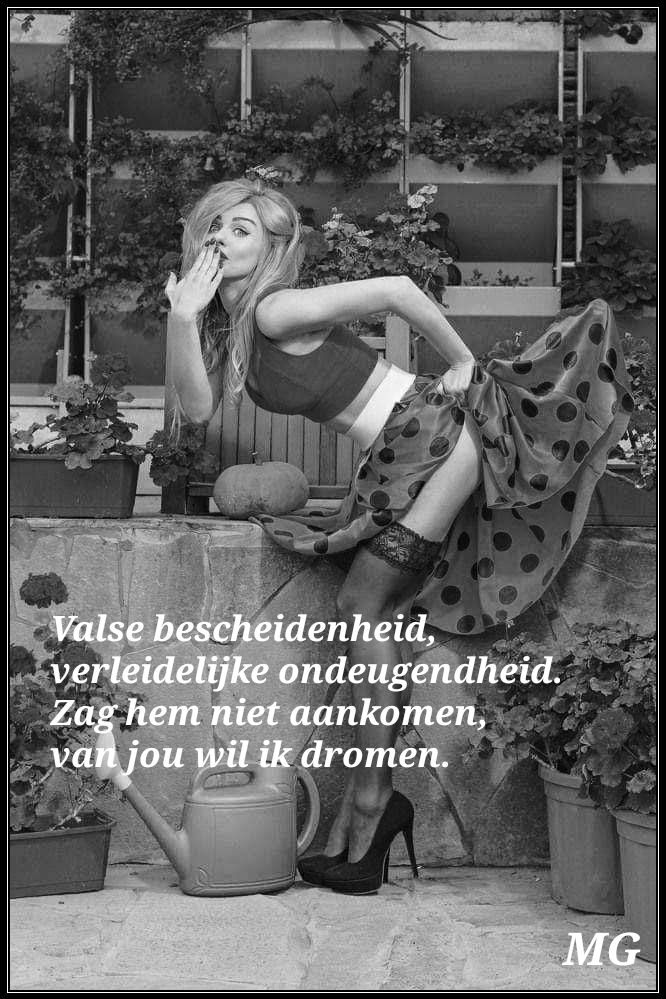 Dreamer