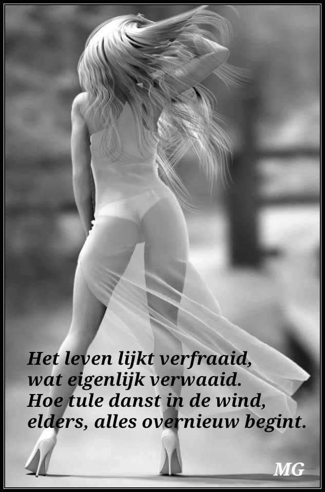Wind