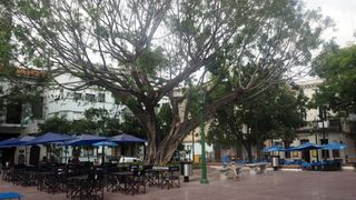 la place de San Telmo