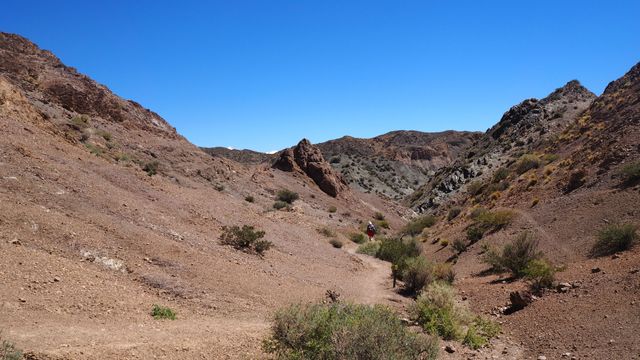 dans le parc du Leoncito