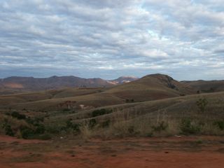 Paysage de savane sèche