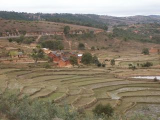 Paysage des hauts plateaux
