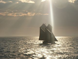 les voiles sont parfois en mauvais état mais quelle belle allure !