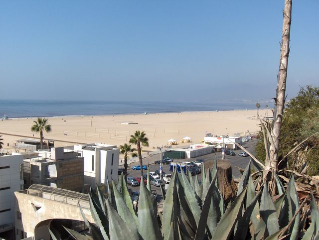 Plage à Santa Monica