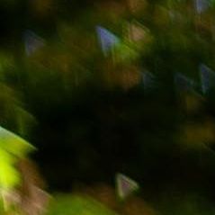 unsplash_HEQ8k9XqERc