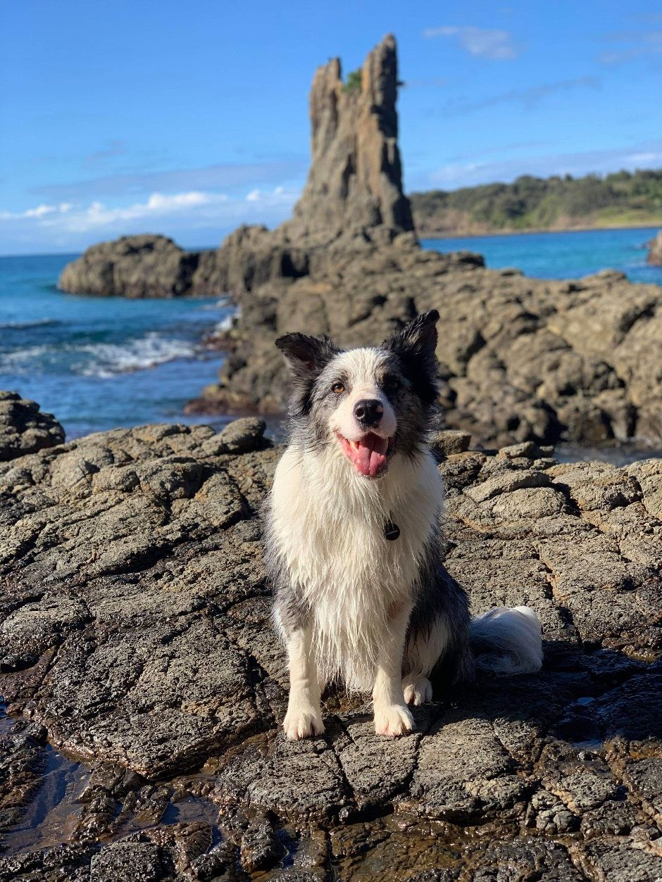 Larissa's beautiful boy 
