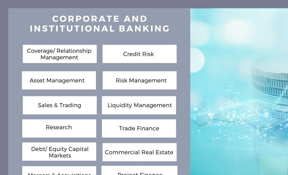 Large companies require services like mergers and acquisitions, capital market access, trade finance, supply chain finance, liquidity management, hedging and risk management and so on. These are the products and services that a corporate bank delivers to its clients.