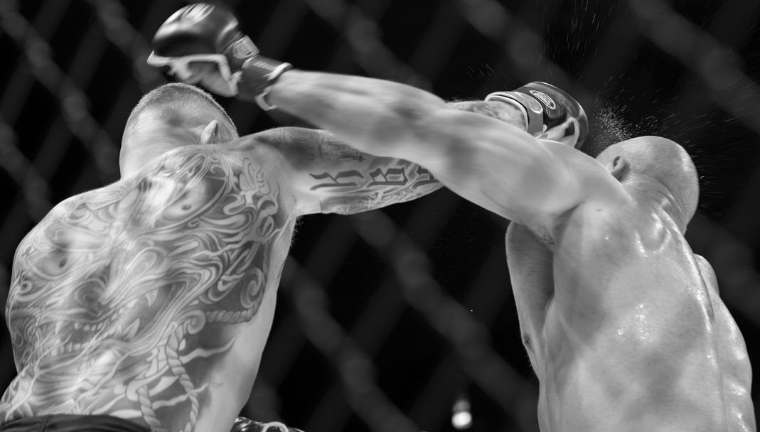 MMA 2025