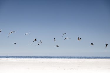 Series ' Ocean Trails ' - Shades of Blue