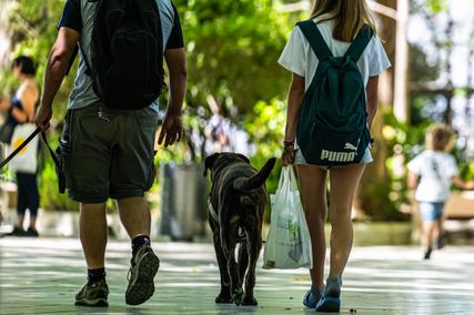 Series ' People Around ' - Wildlife in the city