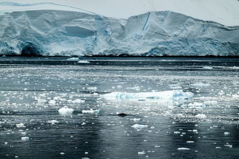 Series ' The 7th Continent '