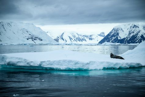Series ' The 7th Continent '