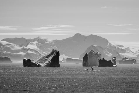 Series ' The 7th Continent '