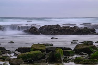 Series ' Ocean Trails' - Shore