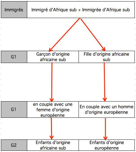 Descendance d’un couple formé de deux immigrés d’Afrique subsaharienne si l’origine est déterminée par le père.
Note de lecture : Ce couple a un garçon et une fille, tous deux d’origine subsaharienne. Ceux-ci se mettent en couple avec un conjoint d’origine européenne. Les enfants du garçon seront d’origine subsaharienne et ceux de la fille d’origine européenne.
