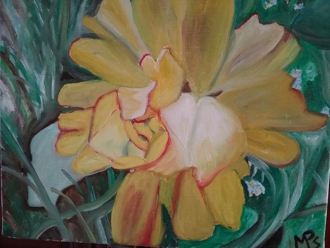 Tulipe magnifique du jardin