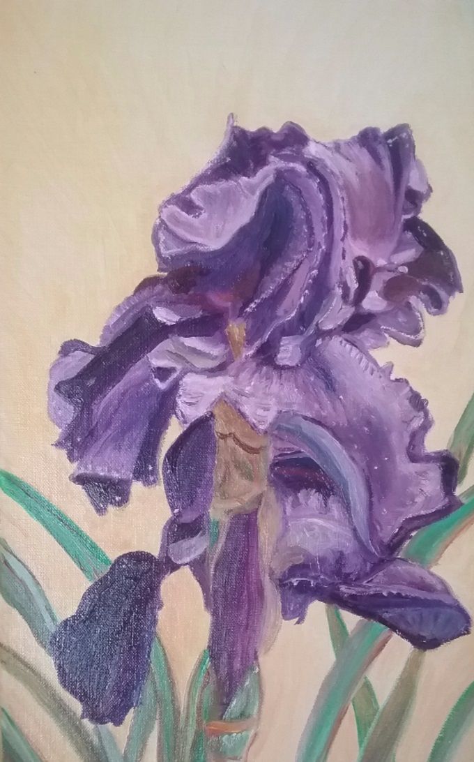 L' iris - huile - 26 x 45 cm