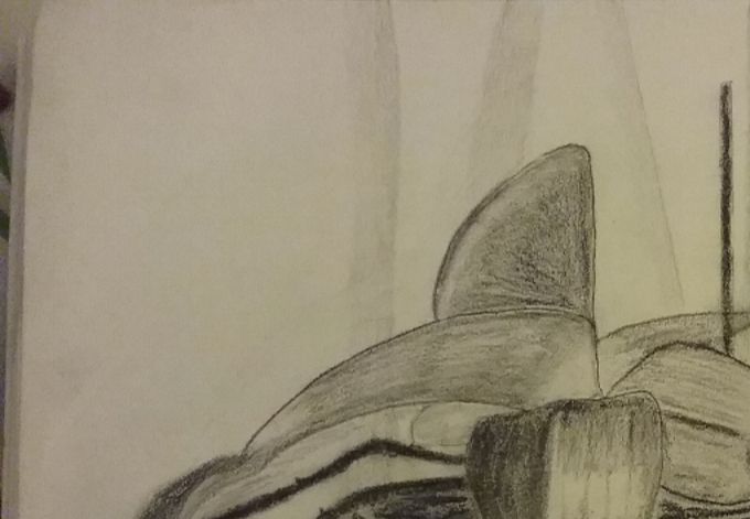 L'orchidée de Nathalie,  crayons