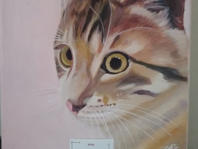 Kitty