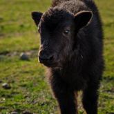 DSCF7698-300x300