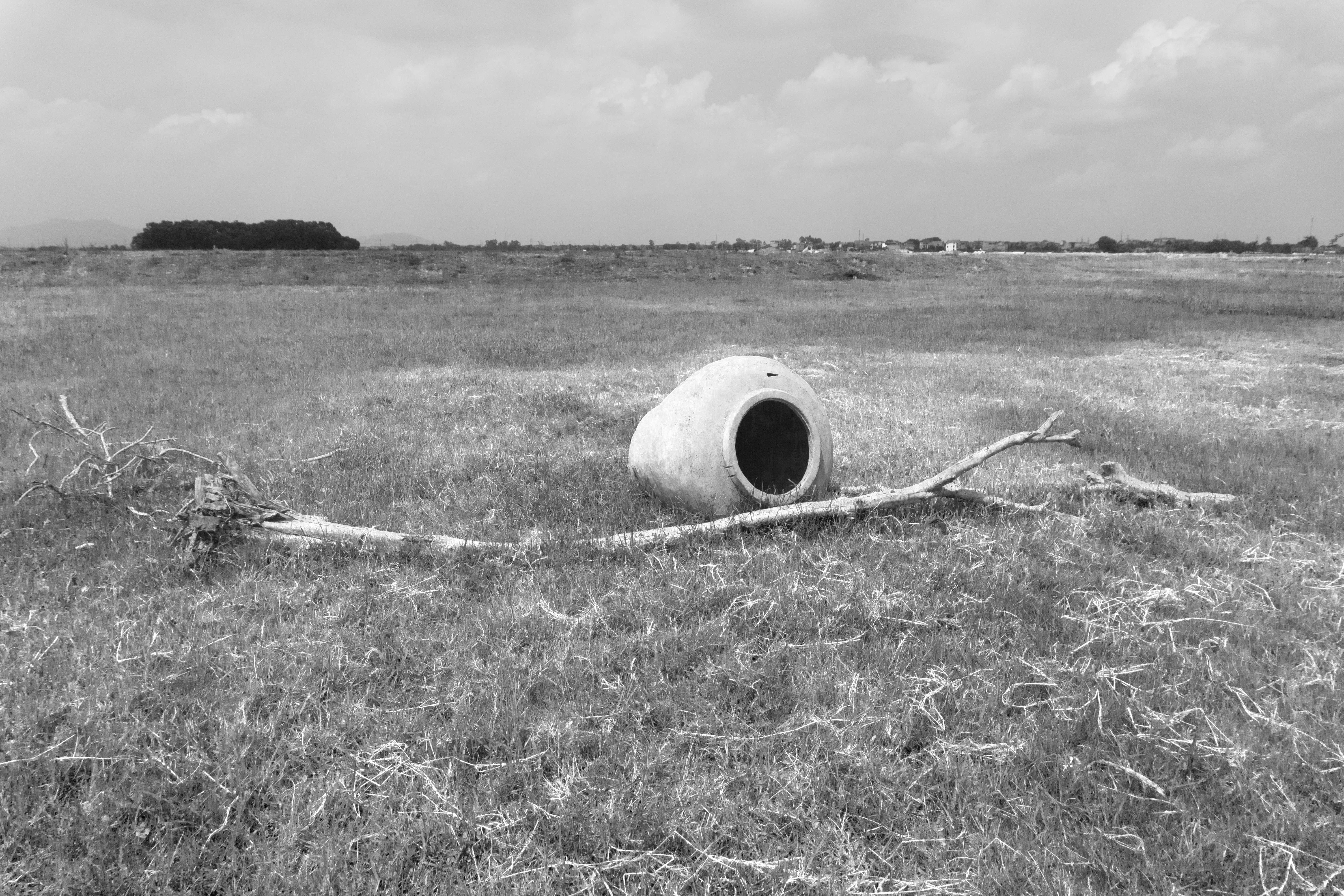 countryside-sample_bw