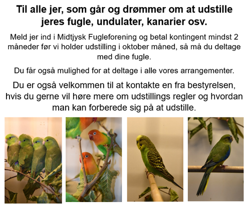 Bliv medlem