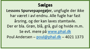 Salgsannonce