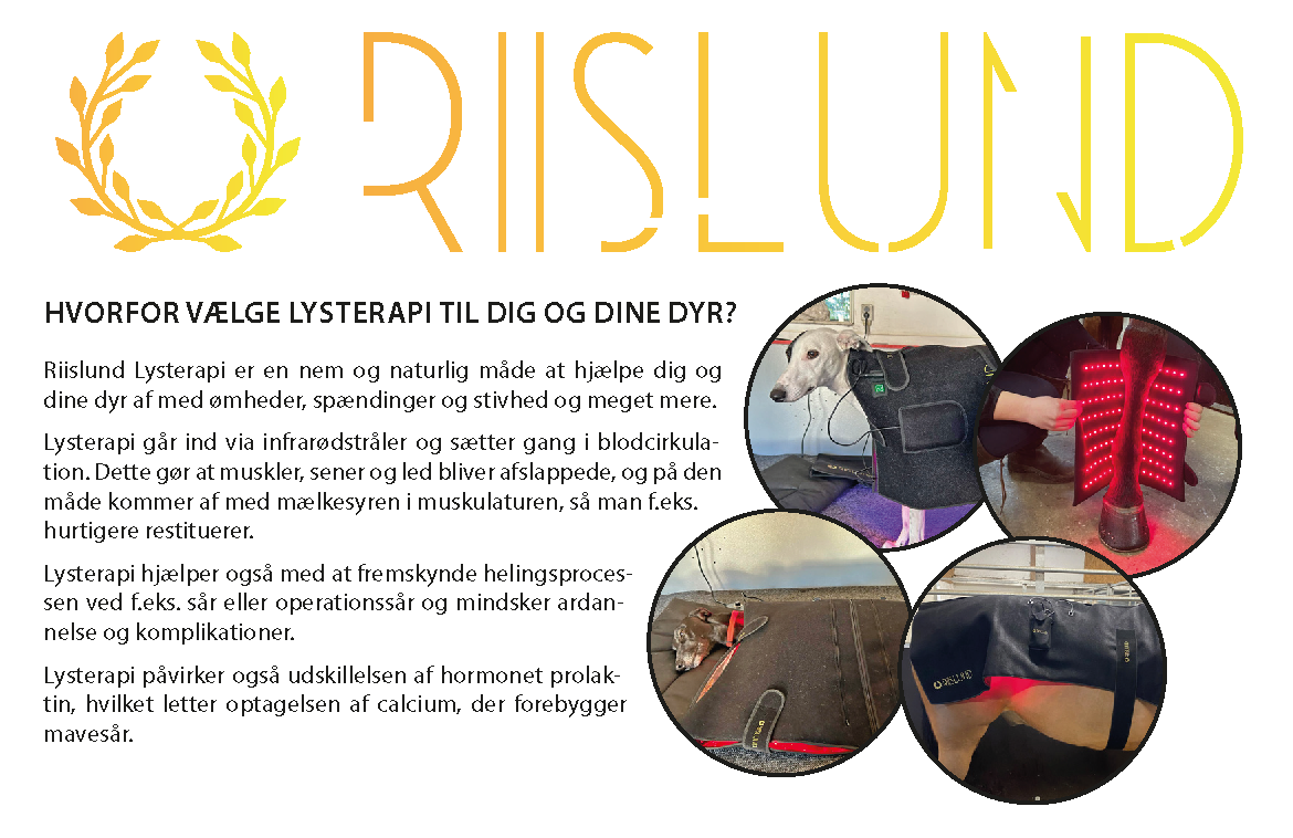 Riislund