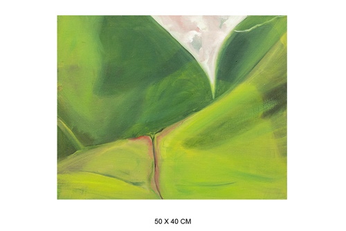 50 x 50 cm 23