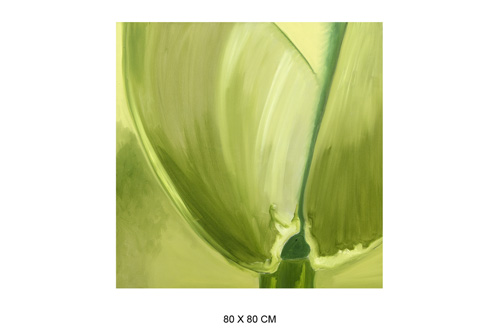 80 x 80 cm 15