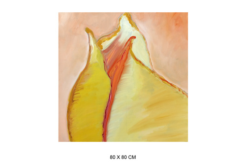 80 x 80 cm 2