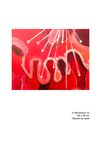 In Movimento - 32 -  100 x 80