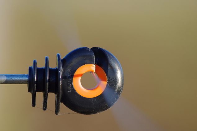 Eens in de vier jaar is er een Schrikkeldag. Een extra dag in de maand februari. Daar schrik je toch rot van.
Als ik jou was dan zou ik deze draad wat door het oog gaat niet aanraken.