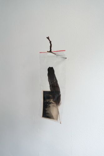 Study for material memory