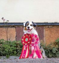 Holly Högbo rosett