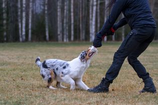 IMG_0117