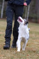 IMG_0155