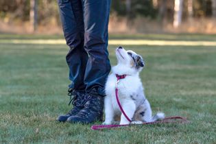 IMG_0275