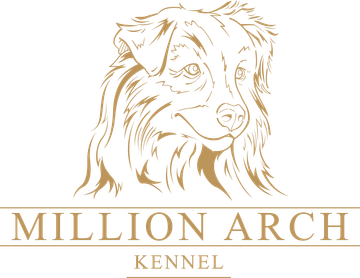 Kennel Million Arch