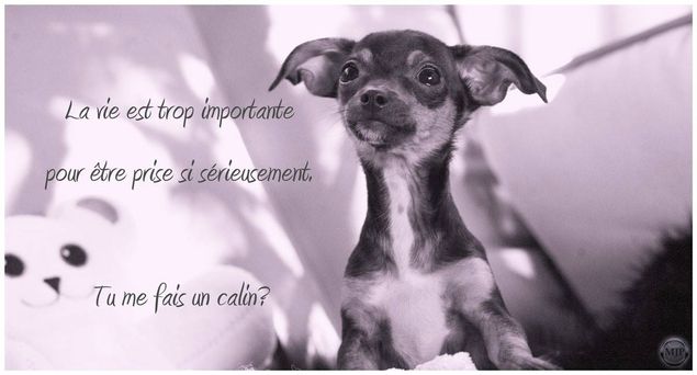 notre petite Molly