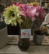 Konstblommor, Gerbera