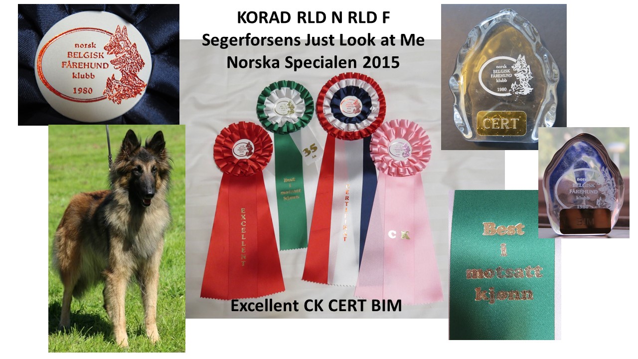 Florida cert Norge