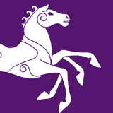 Viking-10