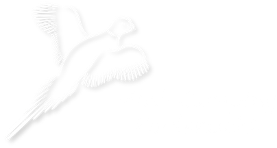 Mini-Camping Polderzicht