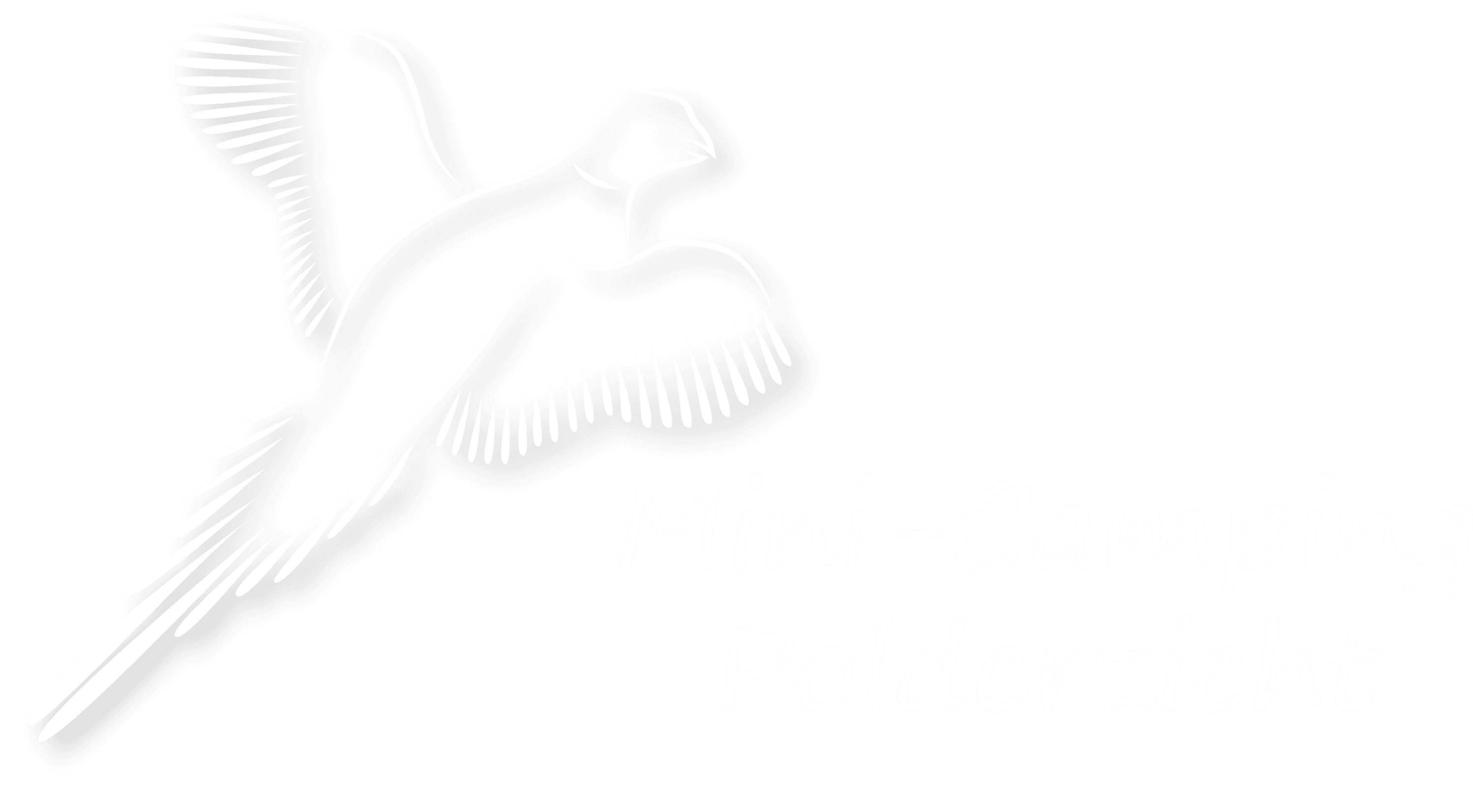 Minicamping Polderzicht