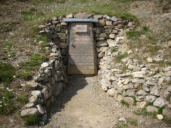 Gallaria 