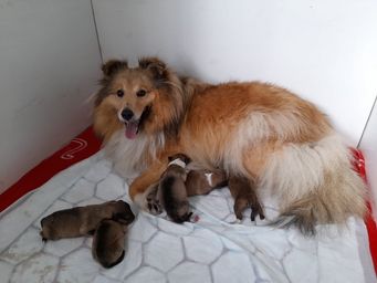 Proud mum