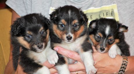 4 weeks old