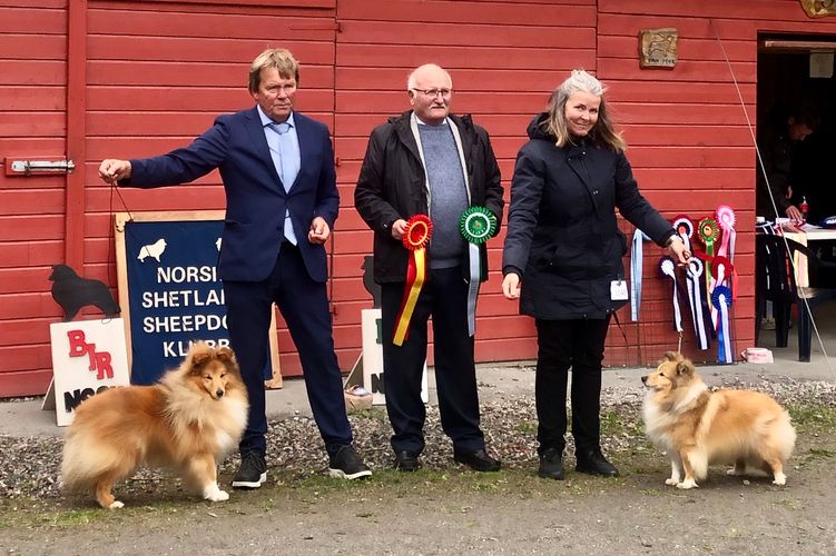 NSSK national show, Ålesund 27.05.2023